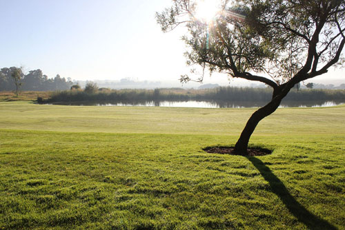 Serengeti Golf Day 2022